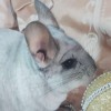 Кубик