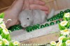 Эсмиральда