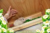 Эсмиральда