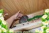 Эрнесто