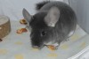 23.11.2021