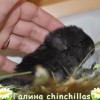 Патрисия