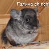Парадиз