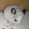 Марио