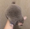8 мес