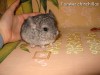 Марта