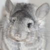 Наоко