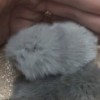 Стар