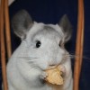 Милагрос