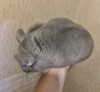 7мес