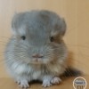 Милена