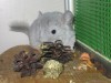 1 месяц