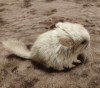 Соул