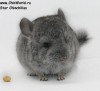 1 мес