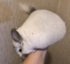 6 мес