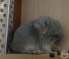 Кевин 
