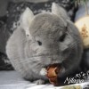 Жаклин Милагро Минера