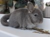 19.07.2021