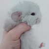 Айжан