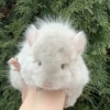 Кокос