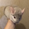 4 мес