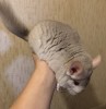 4 мес