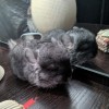 Наринэ
