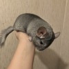 4 мес