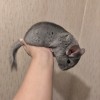 4 мес