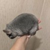 4 мес