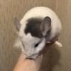 4 мес