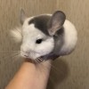 4 мес