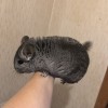 4 мес