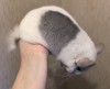 4 мес