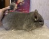 6 мес