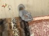 5 месяцев