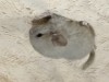 5 дней