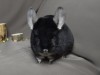 28.10.2025