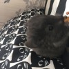 Не выбрана
