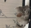 Не выбрана