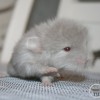 Эклер