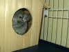 4 мес