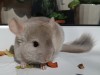01.08.2021г