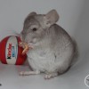 Касиопея