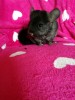 28.09.2021