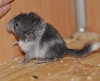 2 дня