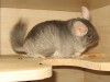 5 мес.18 дн.