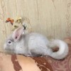 3 месяца