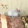 3 месяца