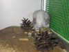 1 неделя